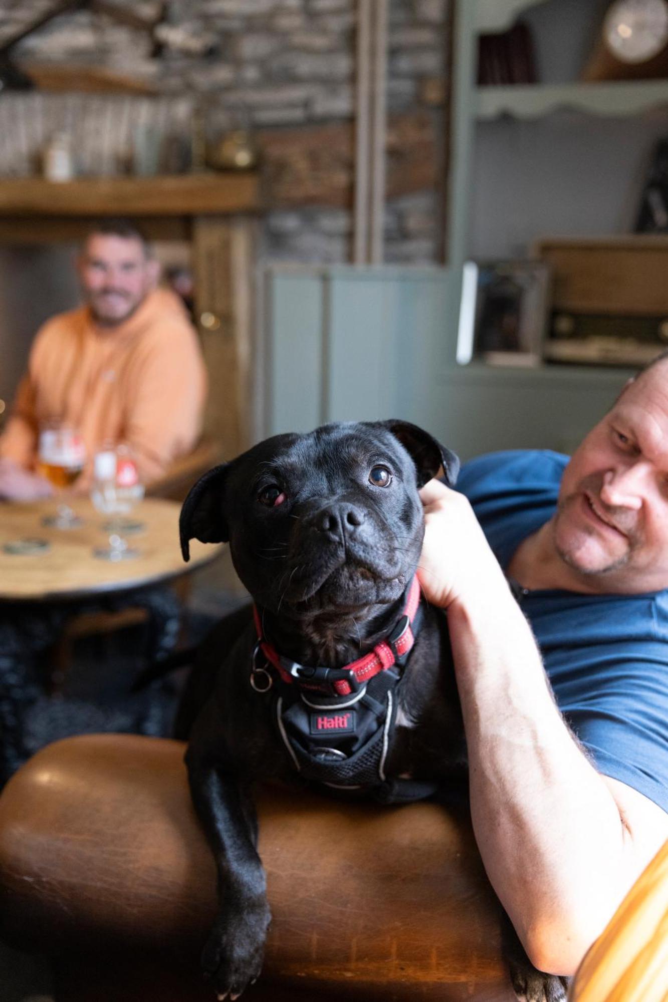 The Bear Inn Llantrisant  Bagian luar foto